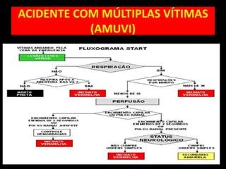 ACIDENTE COM MÚLTIPLAS VÍTIMAS
(AMUVI)
51 167
 