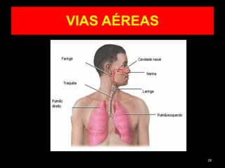VIAS AÉREAS
28
 