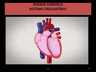 51 37
PARADA CARDÍACA
SISTEMA CIRCULATÓRIO
 