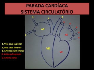PARADA CARDÍACA
SISTEMA CIRCULATÓRIO
AD
AE
VD
VE
1
2
3
4
5
3
4
4
4
1. Veia cava superior
2, veia cava inferior
3. Artérias pulmonares
4. Veias pulmonares
5. Artéria aorta
 