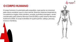 OCORPOHUMANO
O corpo humano é sustentado pelo esqueleto, cujas partes se conectam
pela coluna vertebral, que é o eixo central. Diversos sistemas (respiratório,
circulatório) e órgãos vitais (cérebro, coração, pulmões) interagem, sendo
coordenados pelo Sistema Nervoso Central (SNC) e pelo Sistema Nervoso
Autônomo (SNA). O corpo é dividido em quatro partes: cabeça, pescoço,
tronco e membros.
 