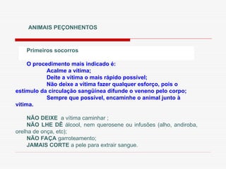 ANIMAIS PEÇONHENTOS
Primeiros socorros
O procedimento mais indicado é:
Acalme a vítima;
Deite a vítima o mais rápido possível;
Não deixe a vítima fazer qualquer esforço, pois o
estímulo da circulação sangüínea difunde o veneno pelo corpo;
Sempre que possível, encaminhe o animal junto à
vitima.
NÃO DEIXE a vítima caminhar ;
NÃO LHE DÊ álcool, nem querosene ou infusões (alho, andiroba,
orelha de onça, etc);
NÃO FAÇA garroteamento;
JAMAIS CORTE a pele para extrair sangue.
 