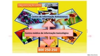 Formadora: Liliana Gomes
Centro de Informação Antivenenos
Centro médico de informação toxicológica
800 250 250
CIAV
ORGANIZAÇÃO SIEM
 