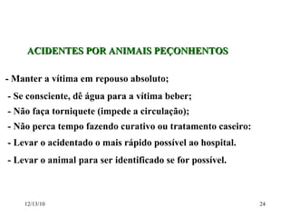 ACIDENTES POR ANIMAIS PEÇONHENTOS -  Manter a vítima em repouso absoluto; - Se consciente, dê água para a vítima beber; - Não faça torniquete (impede a circulação); - Não perca tempo fazendo curativo ou tratamento caseiro: - Levar o acidentado o mais rápido possível ao hospital. - Levar o animal para ser identificado se for possível. 