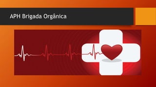 APH Brigada Orgânica
 