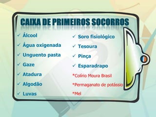  Álcool
 Água oxigenada
 Unguento pasta
 Gaze
 Atadura
 Algodão
 Luvas
 Soro fisiológico
 Tesoura
 Pinça
 Esparadrapo
*Colírio Moura Brasil
*Permaganato de potássio
*Mel
 