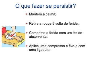 O que fazer se persistir?
    + Mantém a calma;

    + Retira a roupa à volta da ferida;

    + Comprime a ferida com um tecido
      absorvente;

    + Aplica uma compressa e fixa-a com
      uma ligadura;
 
