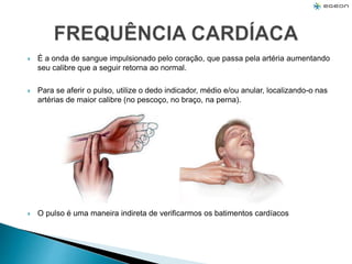  É a onda de sangue impulsionado pelo coração, que passa pela artéria aumentando
seu calibre que a seguir retorna ao normal.
 Para se aferir o pulso, utilize o dedo indicador, médio e/ou anular, localizando-o nas
artérias de maior calibre (no pescoço, no braço, na perna).
 O pulso é uma maneira indireta de verificarmos os batimentos cardíacos
 