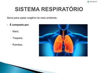 Serve para captar oxigênio do meio ambiente;
 É composto por:
◦ Nariz;
◦ Traqueia;
◦ Pulmões;
 