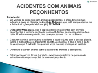 Importante:
 Em vitimas de acidentes com animais peçonhentos, o procedimento mais
indicado é levar ao Hospital do Instituto Butantan, que está sempre aberto, ou
solicitar instruções pelo telefone: (11) 3723-6969
 O Hospital Vital Brasil, que é especializado em acidentes com animais
peçonhentos e funciona dentro do Instituto Butantan, permanece aberto dia e
noite. O tratamento é gratuito para qualquer pessoa com tal problema;
 Capturar o animal que causou o acidente e trazê-lo junto com a pessoa picada,
facilita o diagnóstico e o tratamento correto. Além disso, o soro é feito a partir
do veneno que é extraído dos animais vivos que são enviados ao Instituto;
 O Instituto Butantan orienta sobre a captura de aranhas e escorpiões;
 O transporte por via férrea é gratuito, existindo um sistema de permuta de
animais enviados por ampolas de soro antipeçonhento.
 