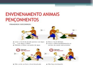 ENVENENAMENTO ANIMAIS
PENÇONHENTOS
 