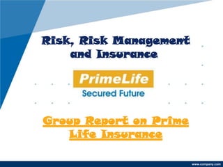 Risk, Risk Management
    and Insurance




Group Report on Prime
   Life Insurance

                        www.company.com
 