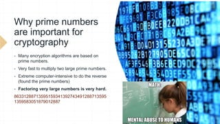 Prime Numbers.pptx