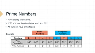Prime Numbers.pptx