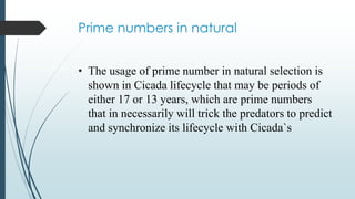 Prime numbers in natural
• The usage of prime number in natural selection is
shown in Cicada lifecycle that may be periods of
either 17 or 13 years, which are prime numbers
that in necessarily will trick the predators to predict
and synchronize its lifecycle with Cicada`s
 