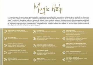 Η Prime καινοτομεί πάντα στην αγορά ομορφιάς και έτσι δημιούργησε την ανάπλαση δύο φάσεων με 15 πολλαπλά οφέλη, κατάλληλο για όλους τους
τύπους μαλλιών. Η φόρμουλα αναπτύχθηκε με τα πιο ευγενή ενεργά συστατικά, με βάση τον ταμάρινδο, ισχυρό αναδομητικό συστατικό των ινών της
τρίχας. Η πανθενόλη, επαναφέρει τη φυσική υγρασία των μαλλιών. Είναι εξαιρετικά μαλακτική, προσφέρει εύκολη περιποίηση και δίνει απαλή και
λαμπερή αφή στα μαλλιά. Η πρωτεΐνη από μετάξι, παράγει ένα προστατευτικό στρώμα προστατεύοντας σώζοντας τα μαλλιά από εξωτερικές επιθέσεις
και προωθώντας την ελαστικότητα, την λάμψη και τη δύναμη κάθε τρίχας ξεχωριστά ανάλογα με τις ανάγκες της. Αυτό το μείγμα ενεργών συστατικών
δίνει 15 μαγικά πολλαπλά οφέλη από την πρώτη εφαρμογή.
ΔΡΑΣΗ ΚΑΤΑ ΤΟΥ ΦΡΙΖΑΡΙΣΜΑΤΟΣ
διατηρεί τα μαλλιά ίσια για περισσότερο
χρόνο.
ΑΝΤΙΓΗΡΑΝΤΙΚΟ
Αντιγηραντική δράση στην τριχοειδή ίνα.
ΜΕΓΙΣΤΗ ΘΕΡΜΙΚΗ ΠΡΟΣΤΑΣΙΑ
Μέγιστη θερμική προστασία από το
πιστολάκι και την πρέσα ισιώματος.
ΑΔΙΑΒΡΟΧΟΠΟΙΗΣΗ ΤΩΝ ΜΑΛΛΙΩΝ
Διατηρεί τα μαλλιά ίσια για περισσότερο
χρόνο.
ΕΝΤΟΝΗ ΛΑΜΨΗ
Δίνει έντονη λάμψη ακόμα και στα θαμπά
μαλλιά.
ΑΓΓΙΓΜΑ ΟΡΟΥ
Σφραγίζει τα λέπια δίνοντας απαλή και
βελούδινη υφή.
ΠΡΟΣΤΑΣΙΑ ΑΠΟ ΤΟΝ ΗΛΙΟ
Προστατεύει από τις ακτινοβολίες UV, ιδανικό
για έκθεση στον ήλιο.
ΑΝΑΠΤΥΣΕΙ ΦΥΣΙΚΗ ΕΝΥΔΑΤΩΣΗ
Διατηρεί το επίπεδο ενυδάτωσης των
μαλλιών , επιβραδύνοντας την ξηρότητα.
ΑΠΟΚΛΕΙΣΤΙΚΟ ΑΡΩΜΑ
εντυπωσιακό αισθησιακό άρωμα, και
ταυτόχρονα λεπτό με φρουτώδεις και
λουλουδένιες νότες.
ΑΜΕΣΗ ΘΡΕΨΗ
Βαθιά θρέψη δρώντας κυρίως στα ξηρά
μαλλιά.
ΑΜΕΣΗ ΕΠΙΔΡΑΣΗ
Μετά από μερικά δευτερόλεπτα της
εφαρμογής, έχουμε στιγμιαία επίδραση
χωρίς σπάσιμο των μαλλιών.
ΕΞΟΥΔΕΤΕΡΩΝΕΙ ΤΙΣ ΟΣΜΕΣ
Εξουδετερώνει τις δυσάρεστες μυρωδιές
καπνού και άλλων στοιχείων που
απορροφούν τα πορώδη μαλλιά.
ΑΝΑΔΟΜΗΣΗ ΜΕ ΚΑΘΗΜΕΡΙΝΗ ΧΡΗΣΗ
Με καθημερινή και συνεχή χρήση ενεργεί
και αναδομεί έως και τις πιο φθαρμένες
τριχοειδείς ίνες.
ΧΩΡΙΣ ΧΗΜΙΚΑ ΣΥΝΤΗΡΗΤΙΚΑ
Δεν περιέχονται paraben και συντηρητικά.
ΜΗ ΛΙΠΑΡΗ ΦΟΡΜΟΥΛΑ
Έχει χαμηλό μοριακό βάρος και μη λιπαρή
φόρμουλα που δεν βαραίνει
τα μαλλιά.
 