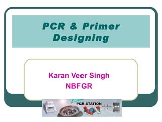PCR & Primer
 Designing



Karan Veer Singh
    NBFGR
 