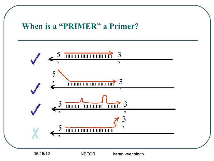 PCR Primer desining