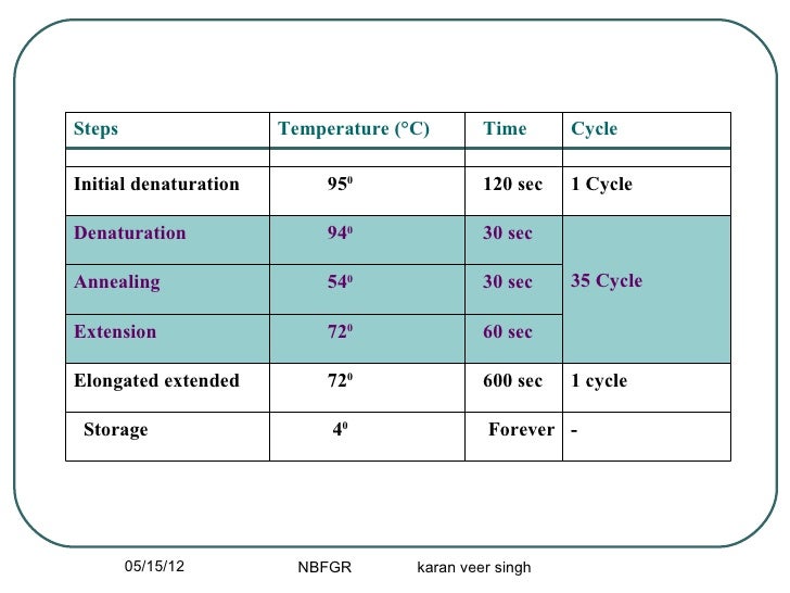 PCR Primer desining