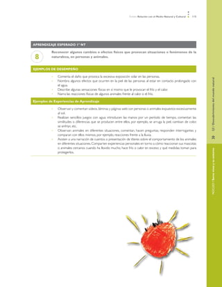 Ámbito Relación con el Medio Natural y Cultural   115




Aprendizaje esperado 1º NT

          Reconocer algunos cambios o efectos físicos que provocan situaciones o fenómenos de la
 8        naturaleza, en personas y animales.


Ejemplos de desempeño

          •	   Comenta el daño que provoca la excesiva exposición solar en las personas.




                                                                                                                            EJE / Descubrimiento del mundo natural
          •	   Nombra algunos efectos que ocurren en la piel de las personas al estar en contacto prolongado con
               el agua.
          •	   Describe algunas sensaciones físicas en sí mismo que le provocan el frío y el calor.
          •	   Narra las reacciones físicas de algunos animales frente al calor o el frío.

Ejemplos de Experiencias de Aprendizaje

          •	   Observan y comentan videos, láminas y páginas web con personas o animales expuestos excesivamente
               al sol.
          •	   Realizan sencillos juegos con agua: introducen las manos por un período de tiempo, comentan las
               similitudes o diferencias que se producen entre ellos, por ejemplo, se arruga la piel, cambian de color,
               se enfrían, etc.
          •	   Observan animales en diferentes situaciones, comentan, hacen preguntas, responden interrogantes y
               comparan con ellos mismos, por ejemplo, reacciones frente a la lluvia.




                                                                                                                            »	
          •	   Asisten a una narración de cuentos o presentación de títeres sobre el comportamiento de los animales
               en diferentes situaciones. Comparten experiencias personales en torno a cómo reaccionan sus mascotas
               o animales cercanos cuando ha llovido mucho, hace frío o calor en exceso y qué medidas toman para




                                                                                                                            NÚCLEO / Seres vivos y su entorno
               protegerlos.
 