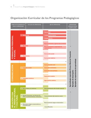 12              Educación Parvularia Programa Pedagógico 1˚ Nivel de Transición




Organización Curricular de los Programas Pedagógicos

  ÁMBITOS DE EXPERIENCIAS                  NÚCLEOS DE APRENDIZAJE                       EJES DE APRENDIZAJE            APRENDIZAJES
    PARA EL APRENDIZAJE                                                                                              ESPERADOS BASES
                                                                                                                      CURRICULARES



                                                                              Motricidad

                            »	 Autonomía                                      Cuidado de sí mismo
 Formación personal




                                                                              Independencia



                                                                              Reconocimiento y aprecio de sí mismo
                            »	 Identidad
                                                                              Reconocimiento y expresión de
                                                                              sentimientos
 y social




                                                                                                                      Aprendizajes esperados Primer Nivel de Transición
                                                                              Interacción social
                            »	 Convivencia
                                                                              Formación valórica




                                                                                                                                                                                                  Ejemplos de experiencias de aprendizaje
                                                                              Comunicación oral
 COMUNICACIÓN




                            »	 Lenguaje verbal                                Iniciación a la lectura



                                                                                                                                                                          Ejemplos de desempeño
                                                                              Iniciación a la escritura



                                                                              Expresión creativa
                            »	 Lenguajes artísticos
                                                                              Apreciación estética
 EL MEDIO NATURAL




                            » 	 Seres vivos y su entorno                      Descubrimiento del mundo natural
                                                                                                                             •	

                                                                                                                                                                             •	

                                                                                                                                                                                                        •	
 RELACIÓN CON




                            »	Grupos humanos, sus formas de
 Y CULTURAL




                                                                              Conocimiento del entorno social
                              vida y acontecimientos relevantes



                                                                              Razonamiento lógico-matemático
                            »	Relaciones lógico-matemáticas y
                              cuantificación
                                                                              Cuantificación
 