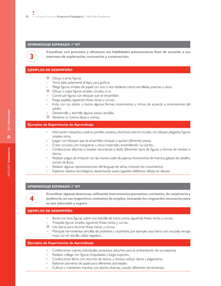 20       Educación Parvularia Programa Pedagógico 1˚ Nivel de Transición




                      Aprendizaje esperado 1º NT

                                      Coordinar con precisión y eficiencia sus habilidades psicomotoras finas de acuerdo a sus
                          3           intereses de exploración, recreación y construcción.


                      Ejemplos de desempeño

                                           	   Dibuja o pinta figuras.
                                      •	       Toma adecuadamente el lápiz para graficar.
                                      •	       Pliega figuras simples de papel con uno o dos dobleces como: servilletas, puertas u otros.
                                           	   Dibuja o copia figuras simples: círculos, cruz.
                                      •	       Construye figuras con bloques que se ensamblan.
                                      •	       Rasga papeles, siguiendo líneas rectas y curvas.
                                      •	       Imita con sus dedos y manos algunas formas, movimientos y ritmos de acuerdo a orientaciones del
                                               adulto.
EJE / Motricidad




                                      •	       Desatornilla y atornilla algunas piezas sencillas.
                                           	   Abotona su cotona, blusa o camisa.

                      Ejemplos de Experiencias de Aprendizaje

                                      •	       Intervienen maquetas, cuadros, paneles, carpetas, distintivos, diarios murales con dibujos, plegados, figuras
»	




                                               simples, otros.
                                      •	       Juegan con bloques que se ensamblan: ensayan y ajustan diferentes piezas.
                                      •	       Crean circuitos con mangueras u otros materiales, ensamblando sus partes.
NÚCLEO / Autonomía




                                      •	       Confeccionan álbumes o tarjetas recortando a dedo, diferentes tipos de figuras o formas de revistas o
                                               diarios.
                                      •	       Realizan juegos de imitación con las manos: vuelo de pájaros, movimientos de insectos, galope de caballos,
                                               sonido de lluvia.
                                      •	       Realizan algunas representaciones del lenguaje de señas, imitando los movimientos.
                                      •	       Exploran objetos tecnológicos, desarmando autos, juguetes, teléfonos, relojes en desuso.



                      Aprendizaje esperado 1º NT

                                      Coordinar algunas destrezas, utilizando instrumentos punzantes, cortantes, de carpintería y
                          4           jardinería, en sus respectivos contextos de empleo, tomando los resguardos necesarios para
                                      su uso adecuado y seguro.

                      Ejemplos de desempeño

                                      •	       Borda con lana figuras sobre una esterilla de trama ancha, siguiendo líneas rectas y curvas.
                                      •	       Troquela figuras simples, siguiendo líneas rectas y curvas.
                                           	   Usa tijeras para recortar líneas rectas y curvas.
                                      •	       Manipula herramientas sencillas de jardinería y carpintería, por ejemplo: saca tierra con una pala, recoge
                                               hojas con el rastrillo, utiliza regadera.

                      Ejemplos de Experiencias de Aprendizaje

                                      •	       Confeccionan cojines, individuales, posavasos, estuches, para la ambientación de sus espacios.
                                      •	       Realizan collage con figuras troqueladas y luego exponen.
                                      •	       Confeccionan libros con recortes de diarios y revistas: utilizan tijeras y pegamento.
                                      •	       Elaboran plumeros de papel para diferentes actividades.
                                      •	       Cultivan y mantienen macetas con plantas diversas, usando diferentes herramientas.
 