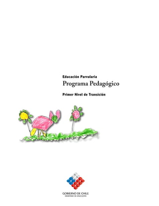 Educación Parvularia

Programa Pedagógico
Primer Nivel de Transición
 