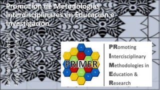 Promoción de Metodologías
Interdisciplinares en Educación e
Investigación
JoséMaríaDíazNafría
EnriqueDíezGutiérrez
 