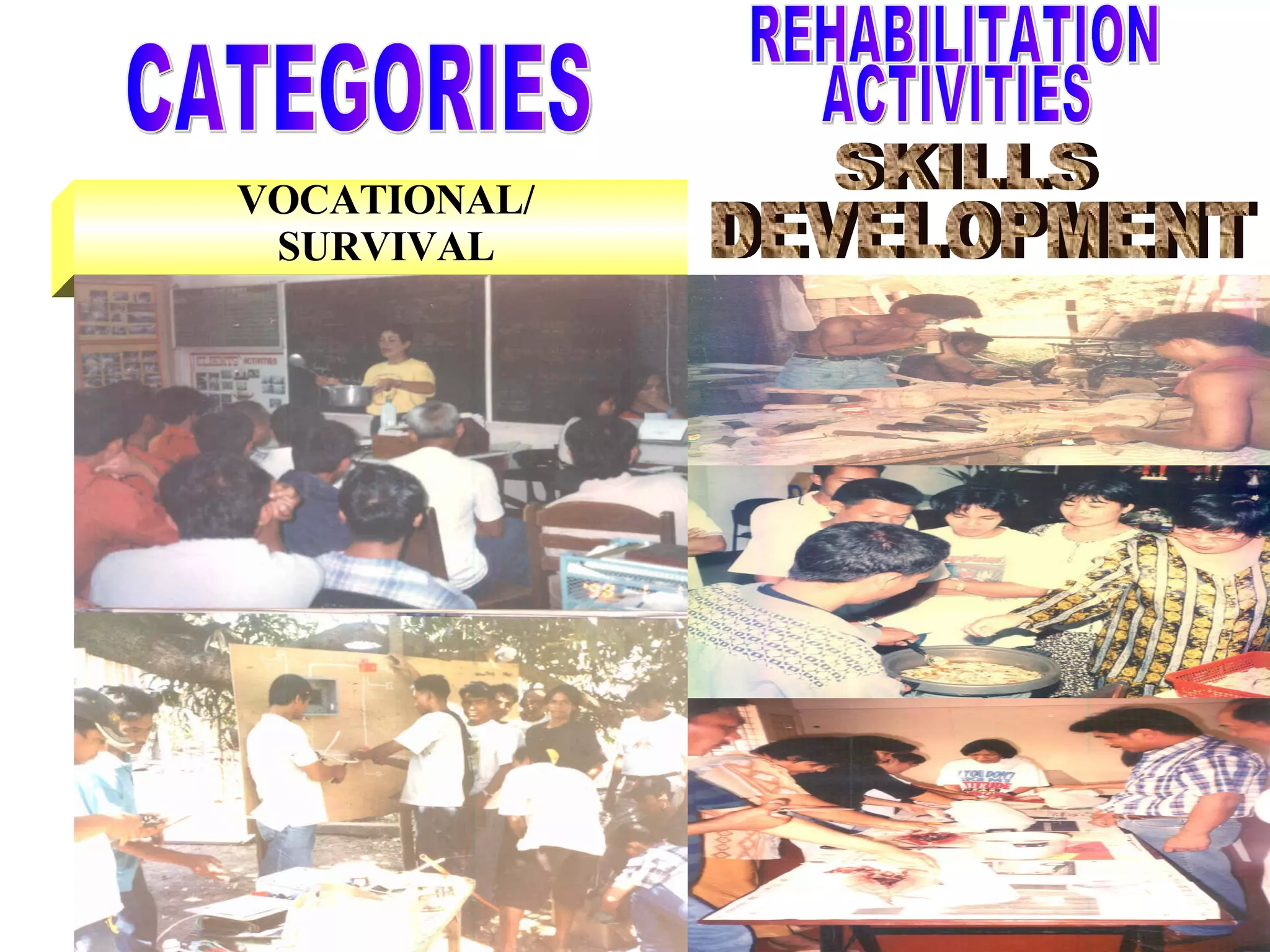 VOCATIONAL/ SURVIVAL CATEGORIES SKILLS DEVELOPMENT REHABILITATION ACTIVITIES 