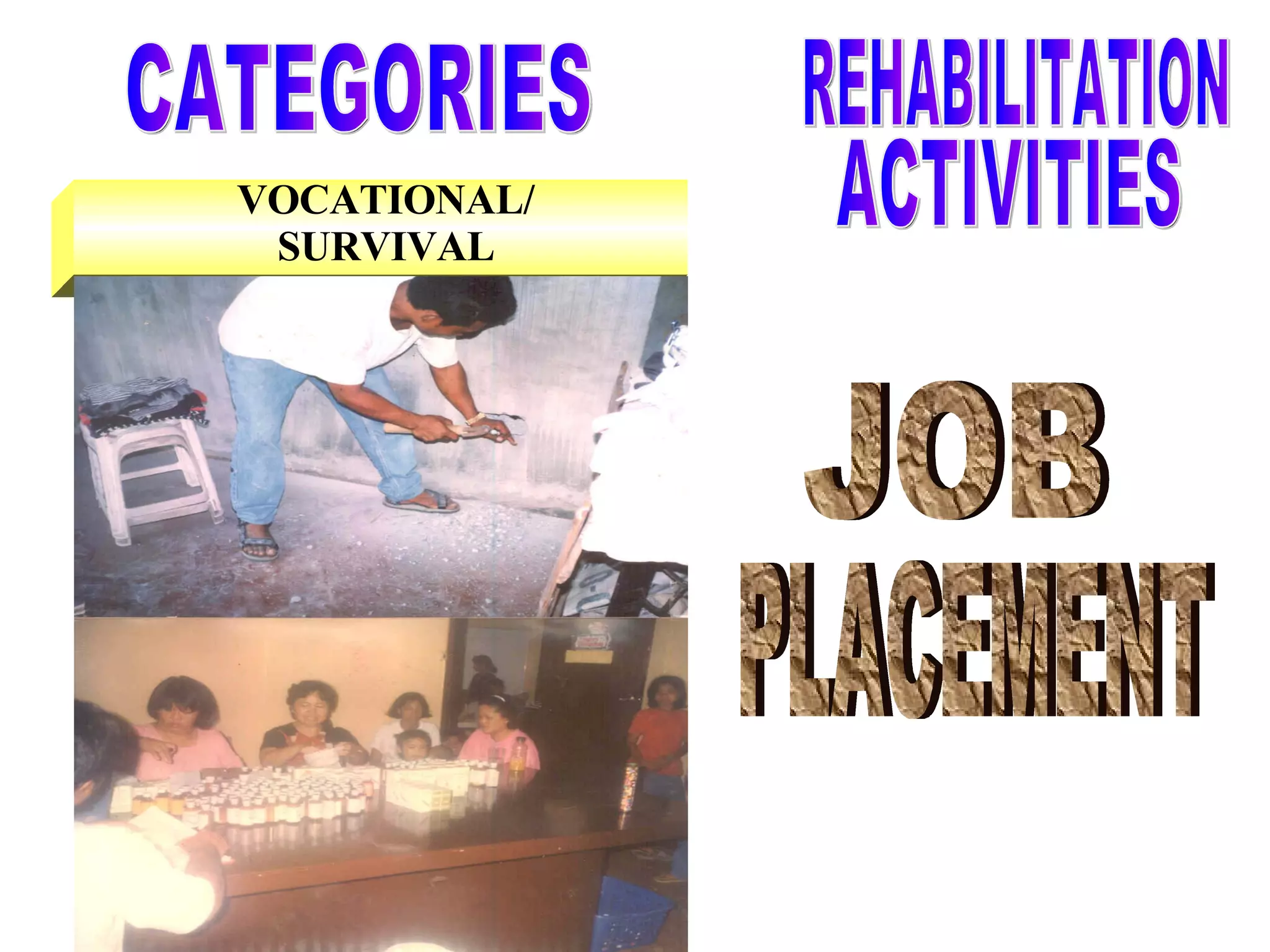 VOCATIONAL/ SURVIVAL CATEGORIES JOB PLACEMENT REHABILITATION ACTIVITIES 