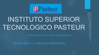 INSTITUTO SUPERIOR
TECNOLOGICO PASTEUR
APARATOLOGÍA FIJA Y SUS COMPONENTES.
MG.CD. RAÚL G. VÁSQUEZ HERNÁNDEZ.
 