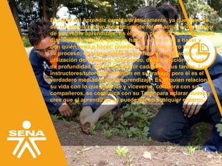 El papel del Aprendiz cambia drásticamente, ya que pasa de
ser un agente pasivo a participar de forma activa como gestor
de su propio aprendizaje. Es él quien planifica sus actividades
diariamente; elige lo que va a hacer, cómo lo va a hacer y
con quién lo va a hacer; planifica sus tareas, pero también
su proceso; es responsable de su nivel de motivación, de la
utilización del tiempo y, sobre todo, de la dirección y nivel
de profundidad que va a imprimir cada día a sus tareas. Los
instructores/tutores lo orientan en su trabajo, pero él es el
verdadero mediador de su aprendizaje: Es él quien relaciona
su vida con lo que aprende y viceversa, colabora con su
compañeros, se comunica con su Tutor para aclarar dudas y
cree que el aprendizaje se puede dar en cualquier entorno.
 