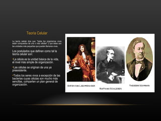 Teoría Celular
La teoría celular dice que: "todos los organismos vivos
están compuestos de una o más células" y que éstas son
las unidades más pequeñas que pueden llamarse vivas.

Los postulados que definen como tal la
teoría celular son:
•La célula es la unidad básica de la vida,
el nivel más simple de organización.
•Las células se originan de una ya
preexistente.
•Todos los seres vivos a excepción de las
bacterias cuyas células son mucho más
sencillas, comparten un plan general de
organización.
 