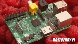 Raspberry Pi

 