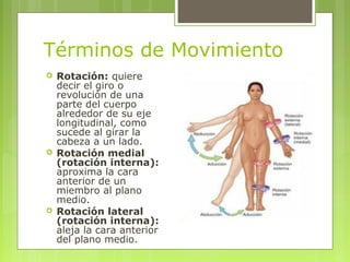 Términos de Movimiento
 Rotación: quiere
decir el giro o
revolución de una
parte del cuerpo
alrededor de su eje
longitudi...