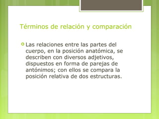 Primera clase, Anatomia general | PPT