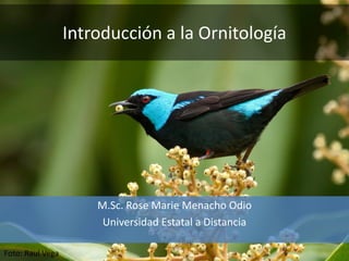 Introducción a la Ornitología
M.Sc. Rose Marie Menacho Odio
Universidad Estatal a Distancia
Foto: Raul Vega
 