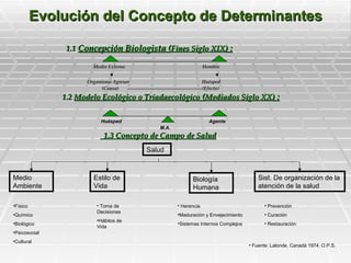Evolución del Concepto de Determinantes

                1.1 Concepción Biologista (Fines Siglo XIX) :

                       Medio Externo                            Hombre


                     Organismo Agresor                          Huésped
                           (Causa)                              (Efecto)
               1.2 Modelo Ecológico o Triadaecológico (Mediados Siglo XX) :


                          Huésped                                  Agente
                                            M.A.
                           1.3 Concepto de Campo de Salud
                                         Salud



Medio                  Estilo de                         Biología                     Sist. De organización de la
Ambiente               Vida                              Humana                       atención de la salud

•Físico                 • Toma de                  • Herencia                           • Prevención
                        Decisiones
•Químico                                           •Maduración y Envejecimiento         • Curación
                        •Hábitos de
•Biológico                                         •Sistemas Internos Complejos         • Restauración
                        Vida
•Psicosocial
•Cultural
                                                                                  • Fuente: Lalonde. Canadá 1974. O.P.S.
 