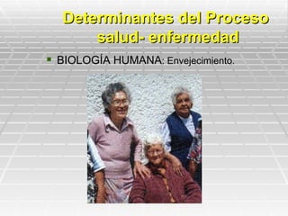 Determinantes del Proceso
      salud- enfermedad
 BIOLOGÍA HUMANA: Envejecimiento.
 