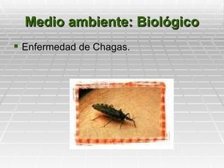 Medio ambiente: Biológico
 Enfermedad de Chagas.
 