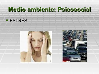 Medio ambiente: Psicosocial
 ESTRÉS
 