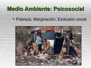Medio Ambiente: Psicosocial
  Pobreza, Marginación, Exclusión social
 