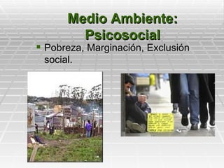 Medio Ambiente:
        Psicosocial
 Pobreza, Marginación, Exclusión
 social.
 