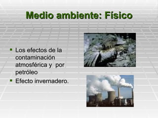 Medio ambiente: Físico


 Los efectos de la
  contaminación
  atmosférica y por
  petróleo
 Efecto invernadero.
 
