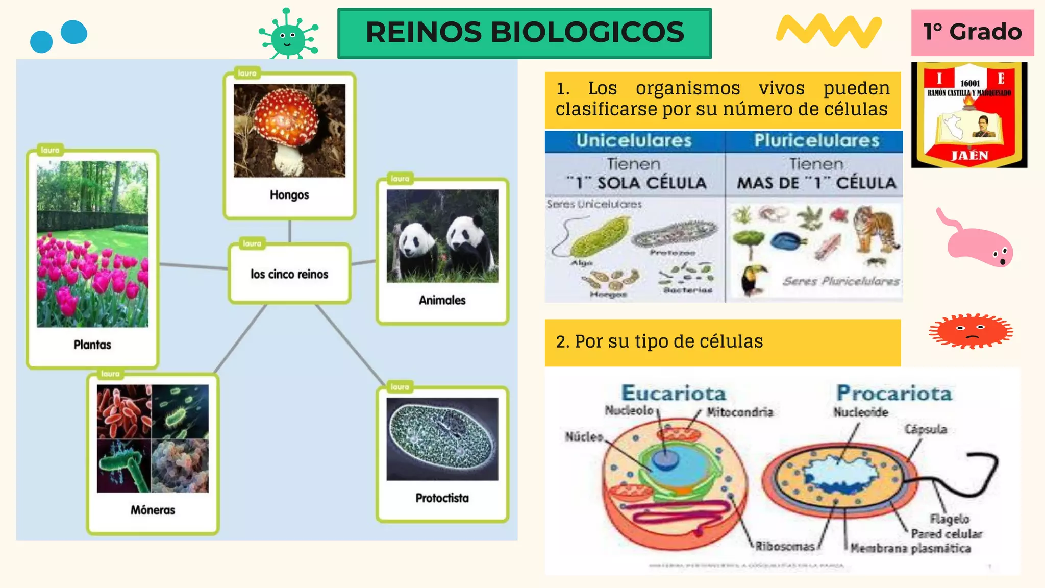 PRIMERA CLASE- REINOS BIOLÓGICOS.pdf