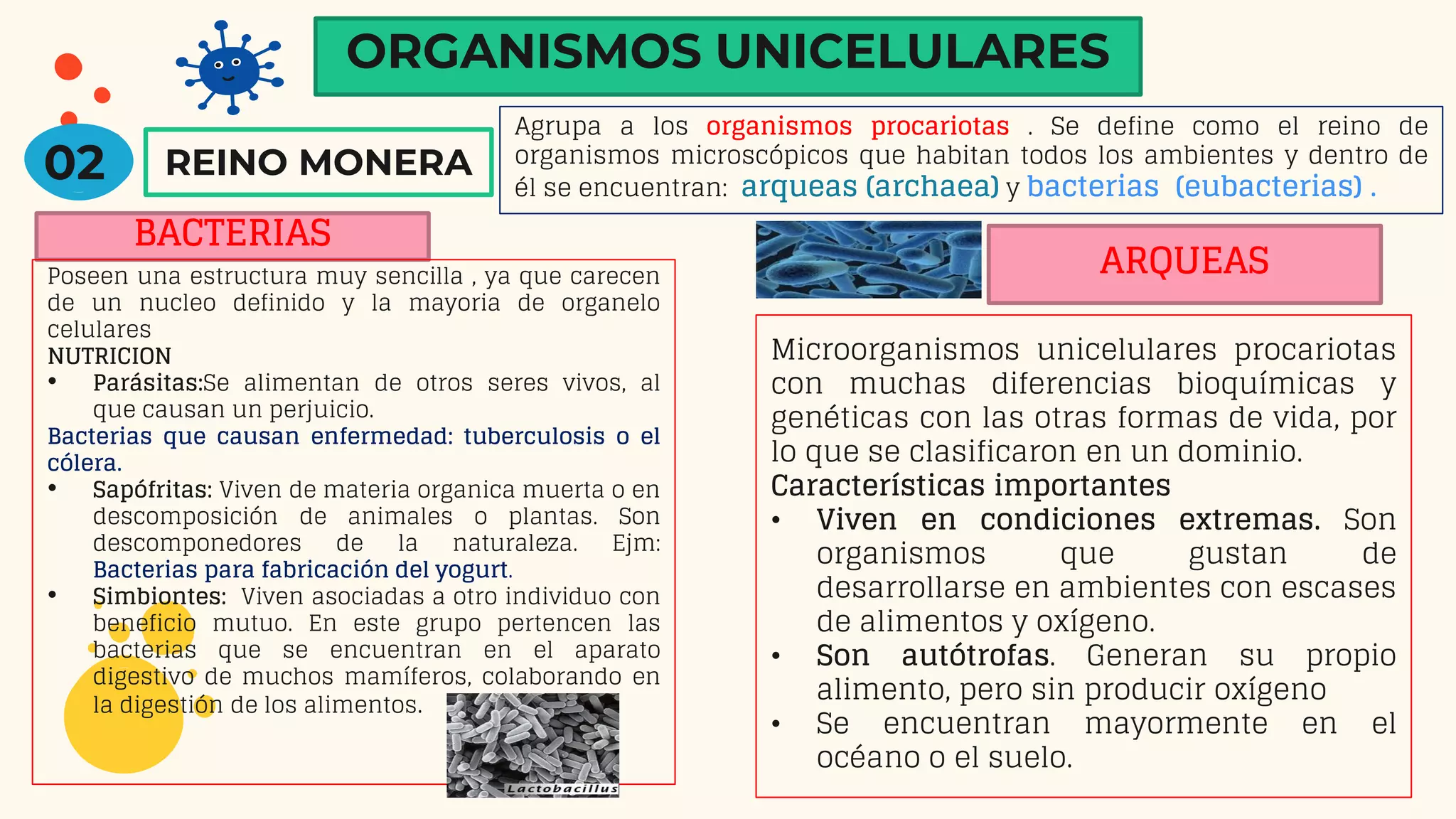 PRIMERA CLASE- REINOS BIOLÓGICOS.pdf