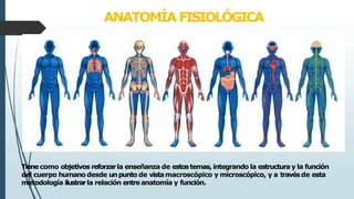ANATOMÍA FISIOLÓGICA
Tienecomo objetivos reforzarla enseñanza de estostemas, integrando la estructura y la función
del cuerpo humano desde unpunto de vistamacroscópico y microscópico, y a travésde esta
metodología ilustrarla relación entreanatomía y función.
 