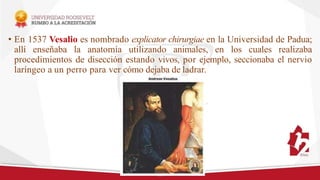• En 1537 Vesalio es nombrado explicator chirurgiae en la Universidad de Padua;
allí enseñaba la anatomía utilizando animales, en los cuales realizaba
procedimientos de disección estando vivos, por ejemplo, seccionaba el nervio
laríngeo a un perro para ver cómo dejaba de ladrar.
 
