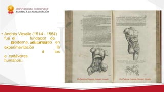 • Andrés Vesalio (1514 - 1564)
fue el fundador de
la anatomía
moderna, el insistió en
la
los
experimentación
d
e cadáveres
humanos.
 