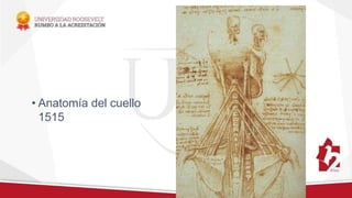 • Anatomía del cuello
1515
 